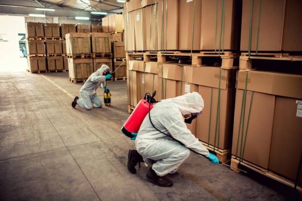 Best Wildlife Control Services  in Melvindale, MI