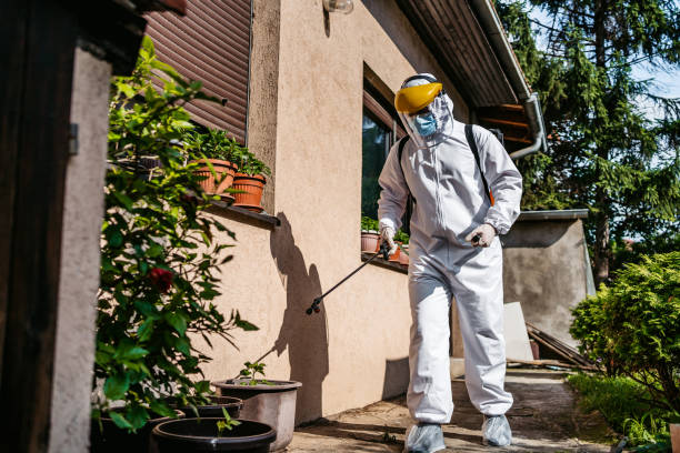 Best Rat Extermination Near Me  in Melvindale, MI