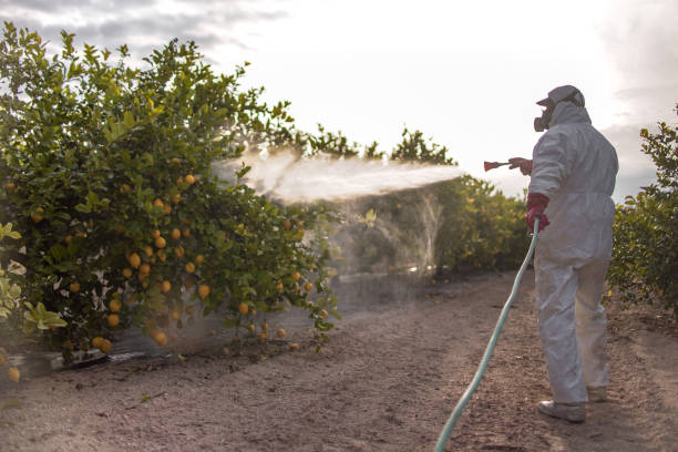 Best Pest Control Treatment  in Melvindale, MI