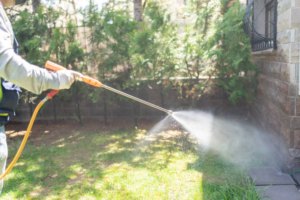 Best Mosquito Control Services  in Melvindale, MI