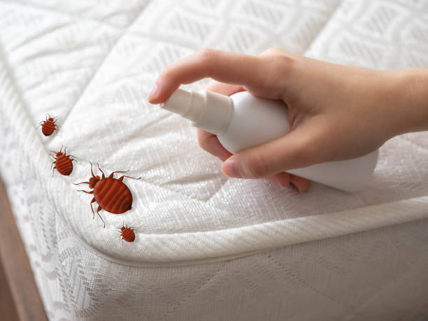 Best Residential Pest Control  in Melvindale, MI