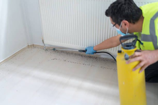 Reliable Melvindale, MI Pest Control Solutions