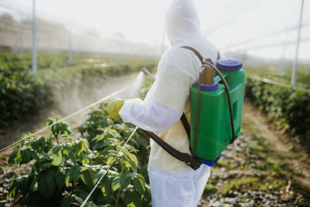 Best Commercial Pest Control Services  in Melvindale, MI